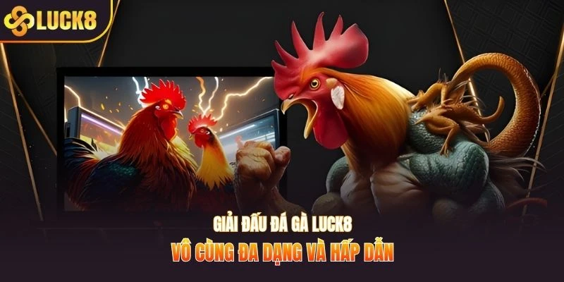 Giải đấu đá gà Luck8 vô cùng đa dạng và hấp dẫn